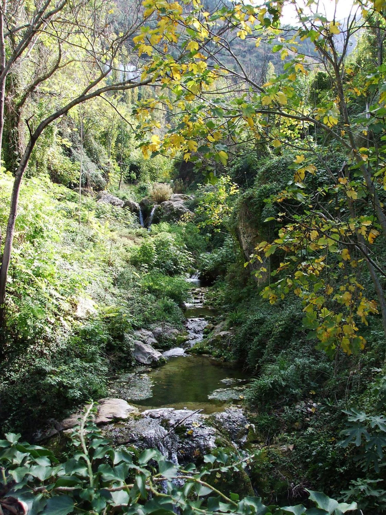 Alojamientos Pena Del Rey Cazorla Bagian luar foto